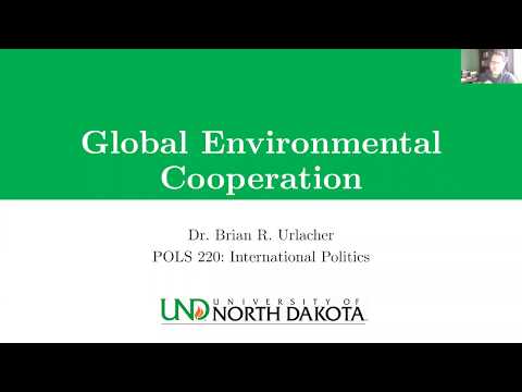 ვიდეო: რატომ არის კარგი გარემოსთვის თანამშრომლობა?