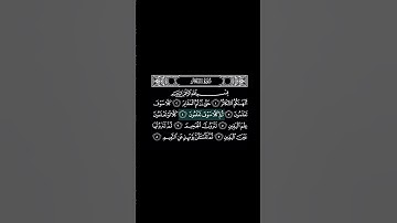 سورة التكاثر  بصوت الشيخ مشاري بن راشد العفاسي #quran #قرآن_كريم