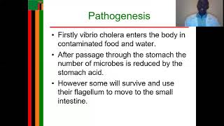 cholera screenshot 2