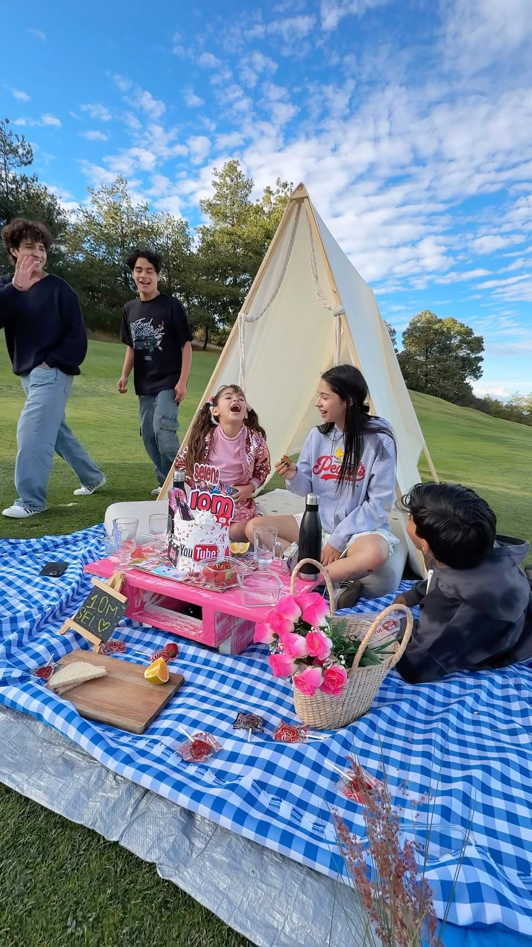 NO NOS INVITARON A SU PICNIC ?