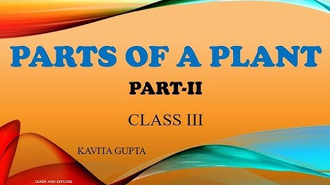 Parts of a Plant class-3 #CLASS3 #SCIENCE #PARTSOFAPLANT PART-2  #CBSE #ICSE #NCERT