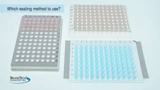 PCR Plates -