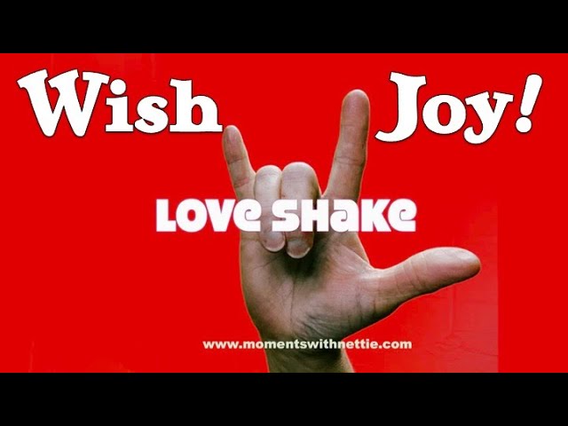 WISH JOY - LOVE SHAKE