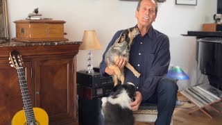 Meet Eric's Dogs Scout & Henry | Eric Henderson Classical Guitarist