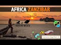 ZANZIBAR, STONE TOWN | BACKPACKING IN TANZANIA 2021 (how to spend less, what to visit, food, nature)