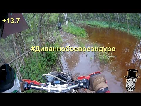 Эндуро, диванный лес как всегда коварен..