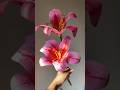 DIY Napkin Lily | How to make a Lily flower #diy #art #craft #diyflowers #shorts
