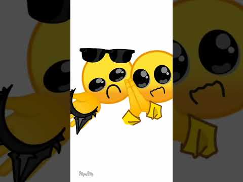 Sad cat dance