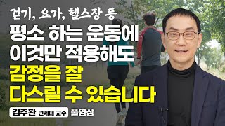 감정에 휘둘리지 않는 가장 현실적인 방법 (김주환 연세대 교수, 풀영상)