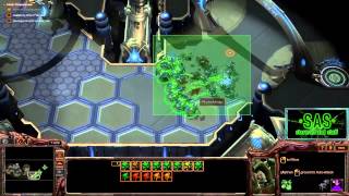 Roach Evolution - Heart of the Swarm