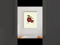 Pomegranate — Ruby Treasure Inside