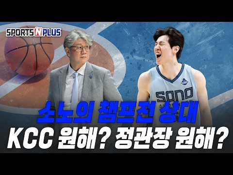 이동 거리 고려하면 아무래도... | 2026.04.28. 농구화