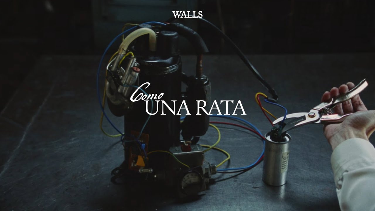 Walls - Como una rata (Visualizer)