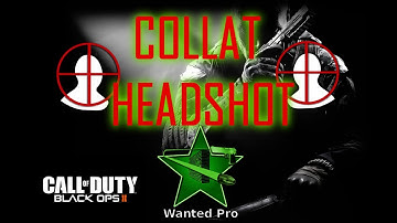 BO2 Awesome HS Collat ft @Ap0col1pse & @KillerDuck_Pick