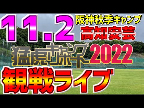 【秋季キャンプ 虎党集合 速報】LIVE❗❗❗11/2 阪神タイガース秋季キャンプ 安芸 #阪神タイガース #安芸ライブ #タイガースライブ #阪神ライブ #秋季キャンプ #キャンプライブ #阪神秋季