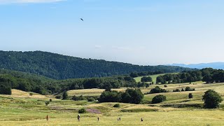 Short Deep Relaxation Music 🌿 Soothing Nature Sounds for Sleep, Meditation &amp; Study | Sukoon Zone