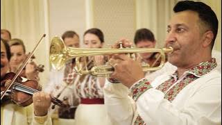 Cristi Tractor & Orchestra Lautarii - Hora cumetrilor