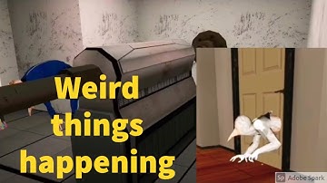 Weird things happening in version 1.4.5 Smiling x Zero