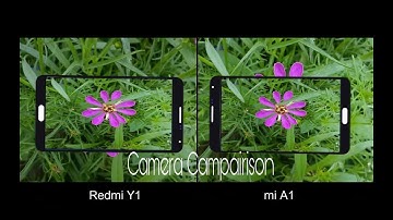 Xiaomi Redmi Y1 Vs Xiaomi Mi A1 Camera Comparison Test