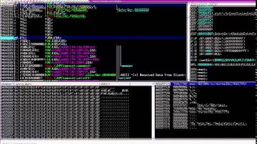DC813: Malware Analysis: Buffer Overflows  Sunny Wear - Part1