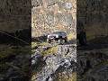 Jeep Cherokee XJ - hard body Injora