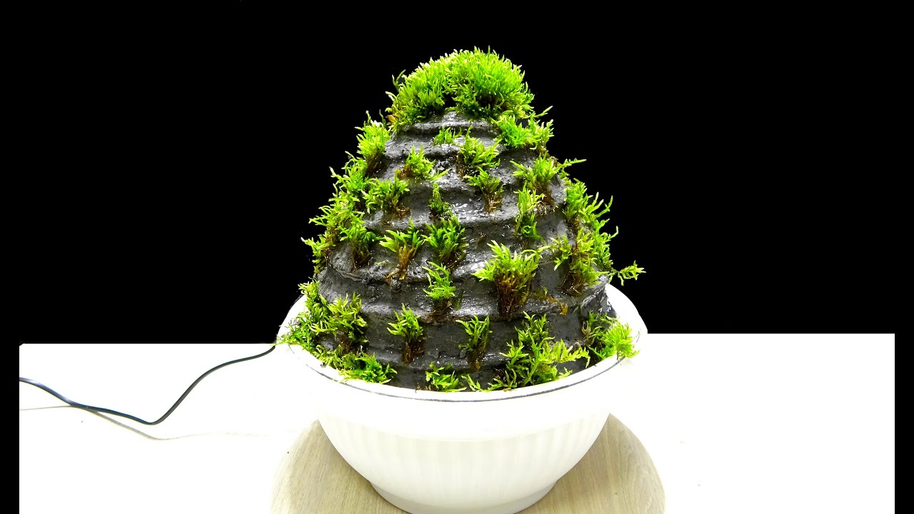 Make a moss stone with constant water flow