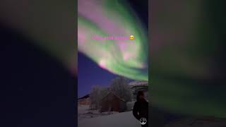 Crazy PINK aurora in Malangen, Norway! Come join our tours 🥰