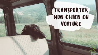 Transporter un chien en voiture : que dit le code de la route ?