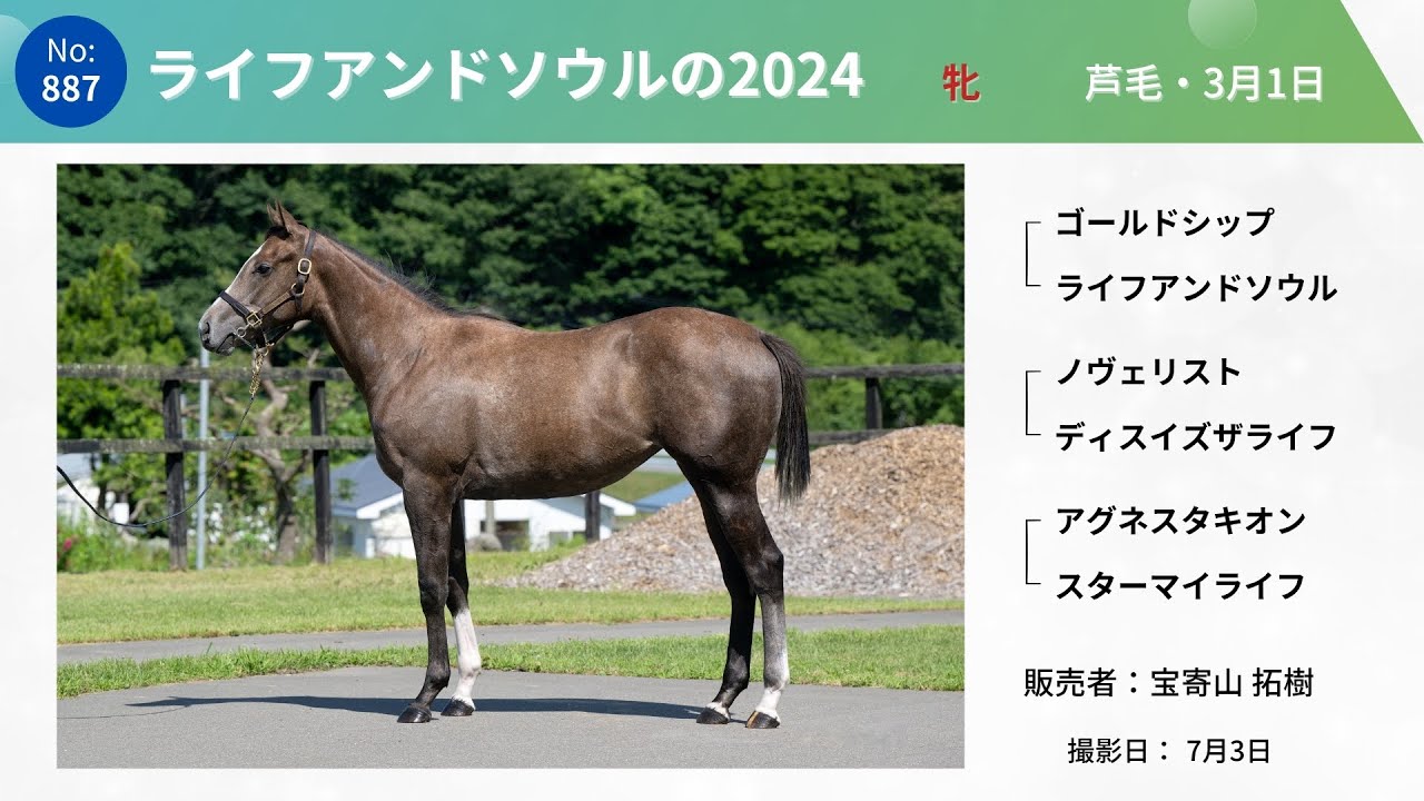 サマーセール2025【ライフアンドソウル2024】4日目 No.887 - YouTube