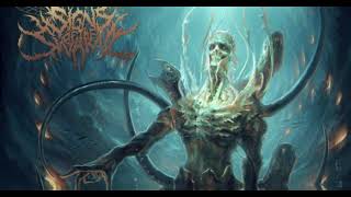 Signs Of The Swarm - Embedded In Fear (Edited Version)