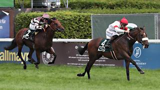 Vidéo de la course PMU PRIX GROSSE WETTSTAR.DE-MEILE