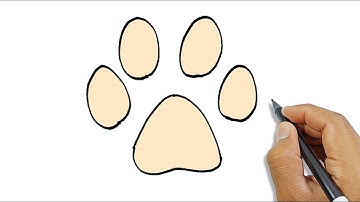 How do you draw a dog paw print | Easy Drawing Ideas For Beginners
