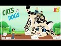 Wild kratts  cats and dogs  full episode in english   kratts series  science