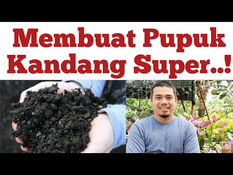 Video: Apa itu pupuk kandang berikan contohnya?