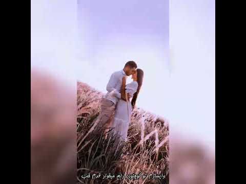 منو از شهر جمعم کن دوست دارم  عاشقتم    زانکو