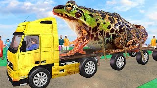 विशाल जादुई मेंढक ट्रक Giant Frog Truck Funny Hindi Comedy Video