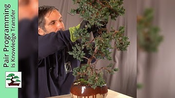 Communicate Design Ideas: Pair Programming / Mob Programming is Knowledge Tranfer