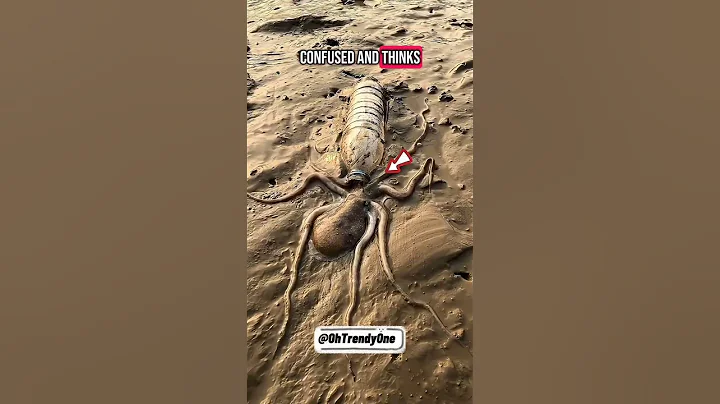 An Octopus Managed to Squeeze Into the Bottle 😱 #octopus #skill #fyp #fypシ゚ #foryou