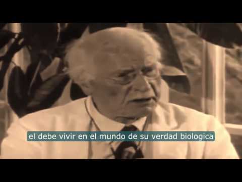 Video: ¿Qué es la crítica de Jung y los mitos?