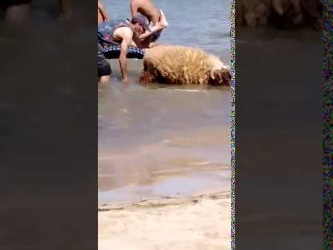 عجائب المغرب لا تنتهي