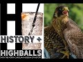 History  highballs a brief history of the art of falconry