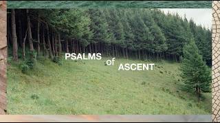 Daniel Judge  Psalms Of Ascent Hope  Psalm 130