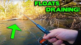 BOBBER Downs! SMALL STREAM Steelhead Fishing MADNESS.