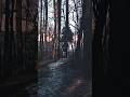 Edit riding a bike in a dark forest #edit #forest #darkness #sesh #bike #freeride #whipoff