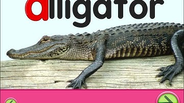 Starfall ABC’s Letter A Part 1