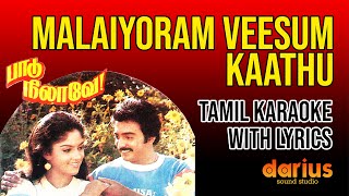 Paadu Nilavae 1987 | Malaiyoram Veesum Kaathu Karaoke Song | Tamil Lyrics | Ilaiyaraaja