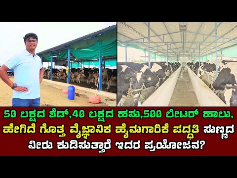ಅಬ್ಬಬ್ಬಾ 50 ಲಕ್ಷದ ಶೆಡ್ಡು 40 ಹಸು 500 ಲೀಟರ್ ಹಾಲು ಕರೆಯುತ್ತಾರೆ | bigg dairy farming in kannada