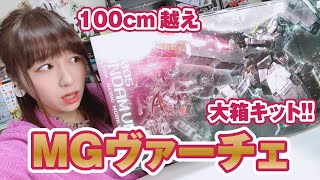 100㎝以上の大箱！MGヴァーチェとナドレ、どっちがお好き？簡単に換装できるパーツ構成が魅力のキットをレビュー