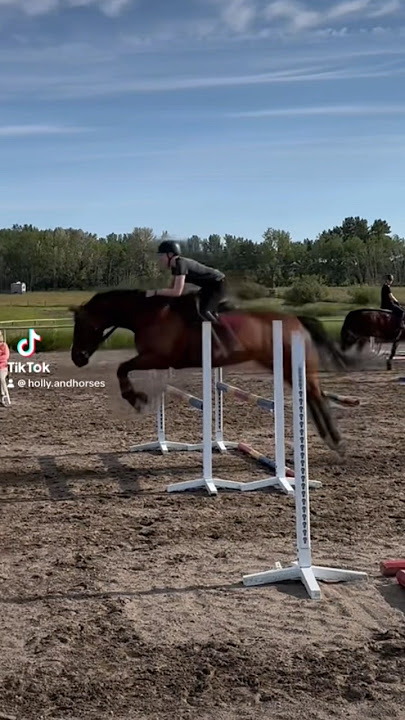 Square oxer π€ͺ #equestrian #horse #sebastian #pony