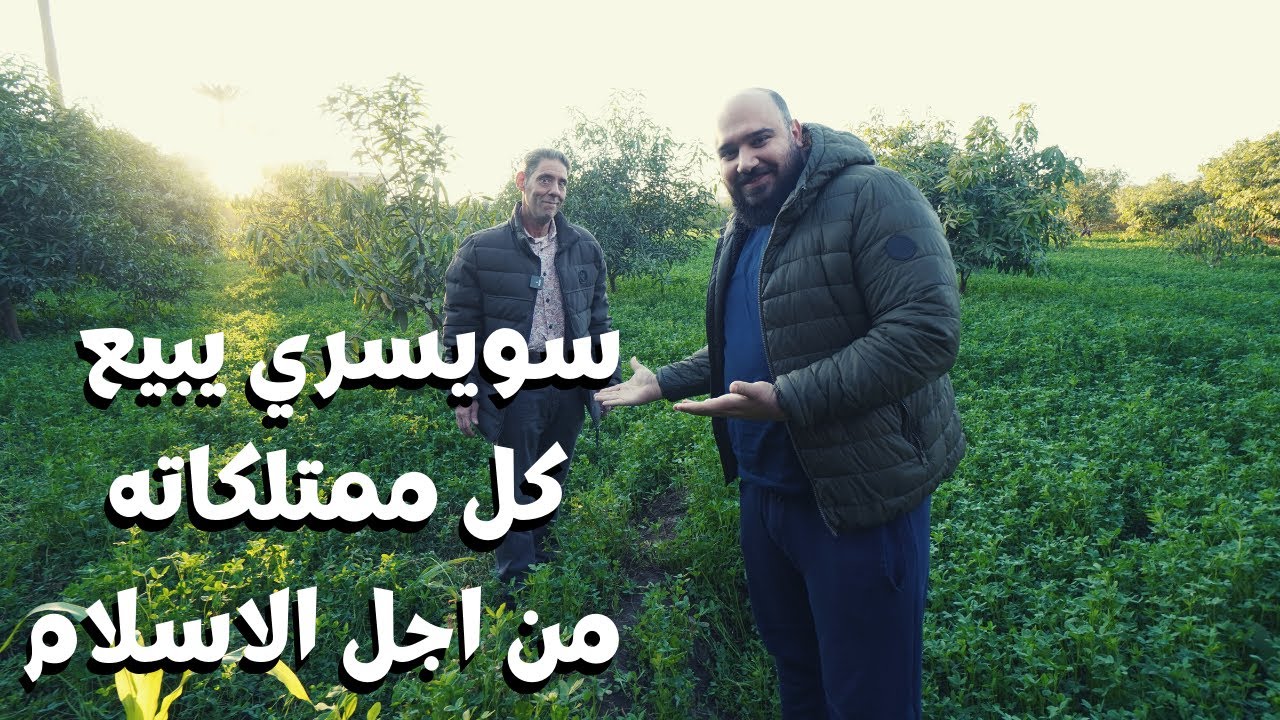 حياة سويسري في مصر - Swiss life in Egypt